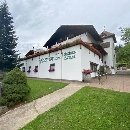 Albero Verde Verano Kültér fotó