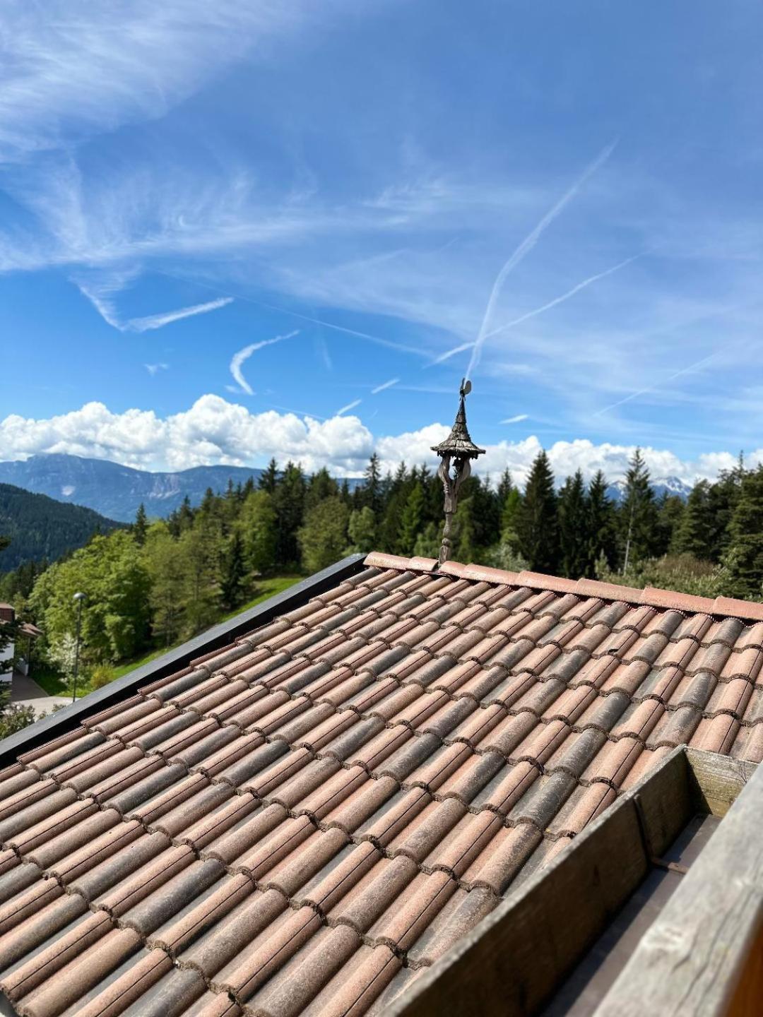 Albero Verde Verano Kültér fotó