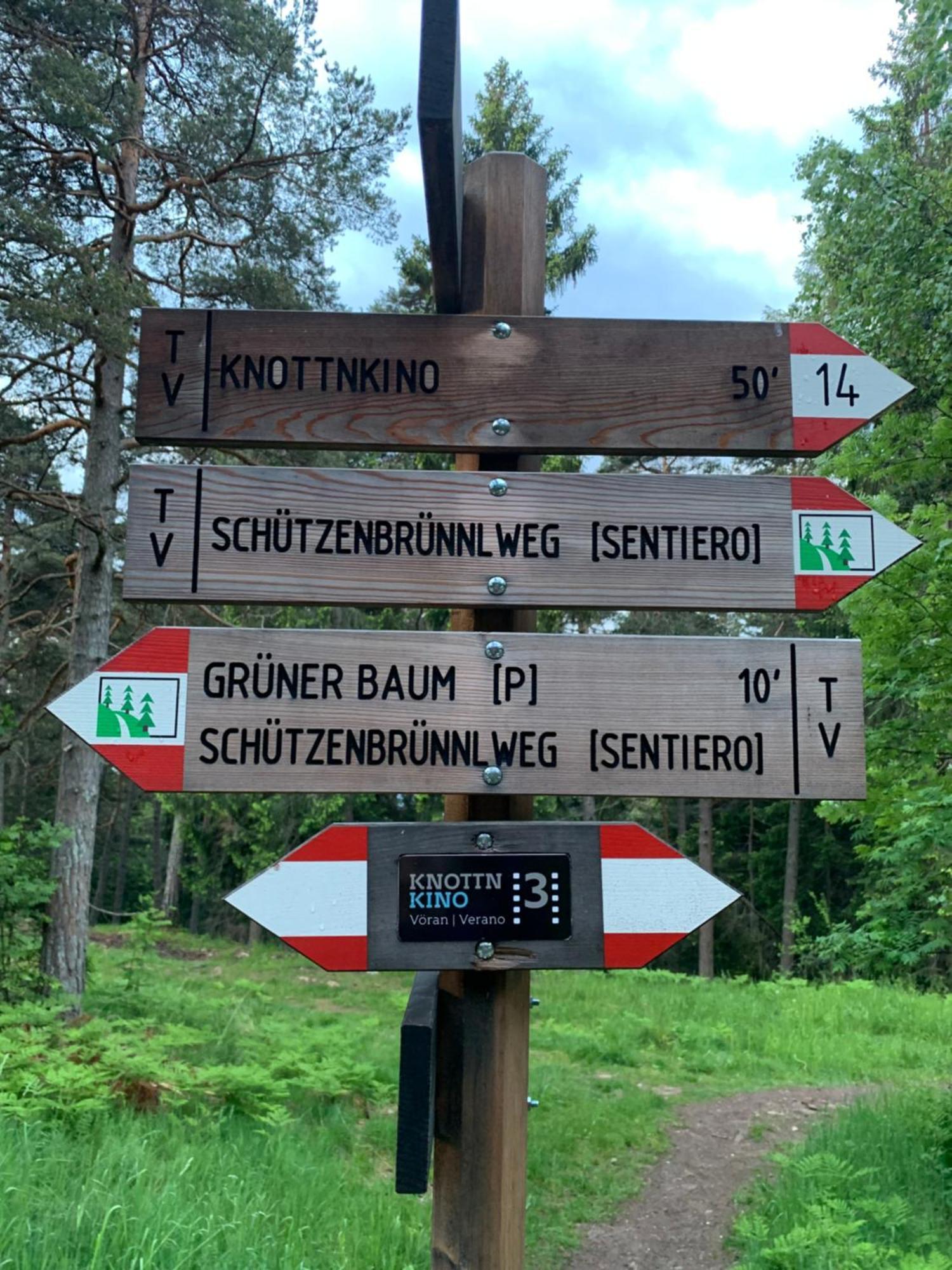 Albero Verde Verano Kültér fotó