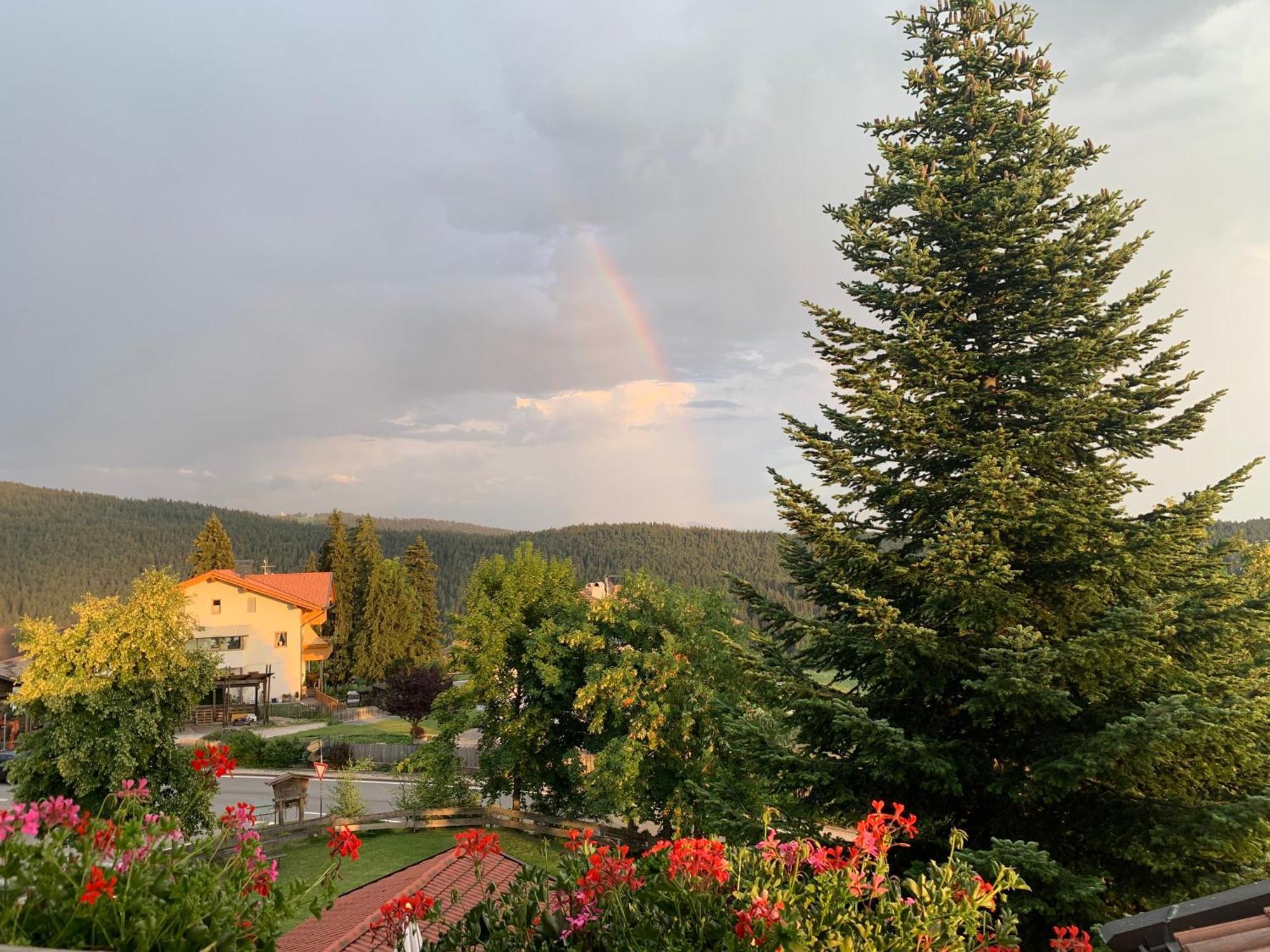 Albero Verde Verano Kültér fotó