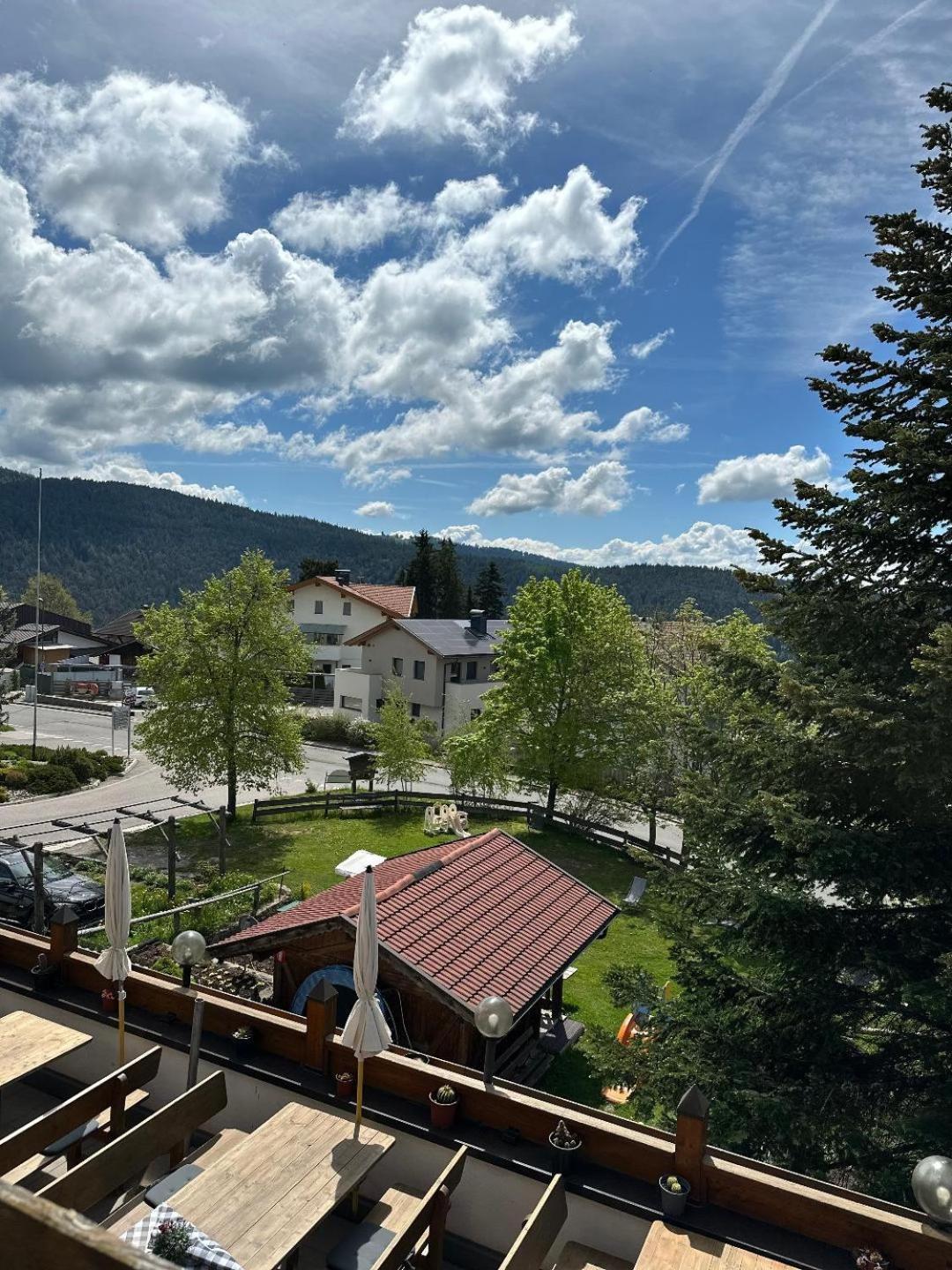 Albero Verde Verano Kültér fotó